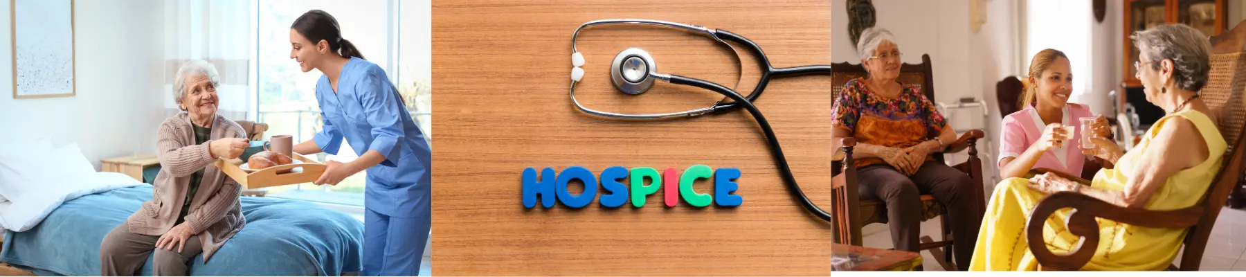 Top Hospice Marketing Agencies